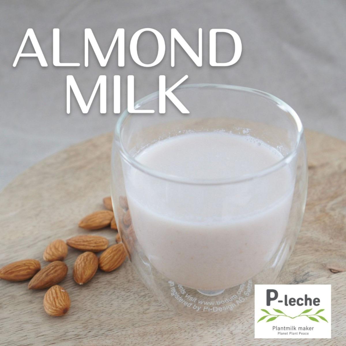 ピレーチェ　P-leche プラントミルクメーカー ピーレチェ」P-leche プラントミルクメーカー – コッチラボ株式会社